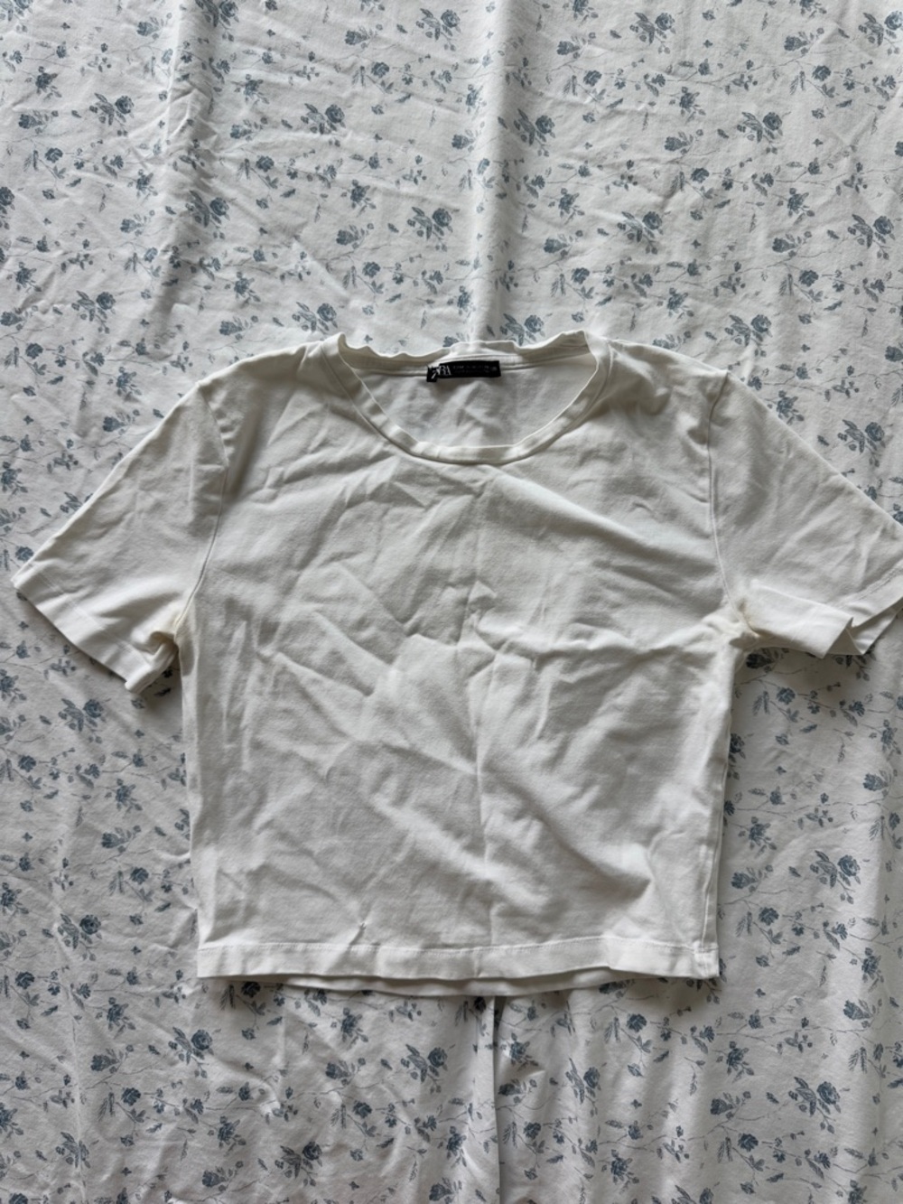 ZARA Off-White Cropped Crew Tee